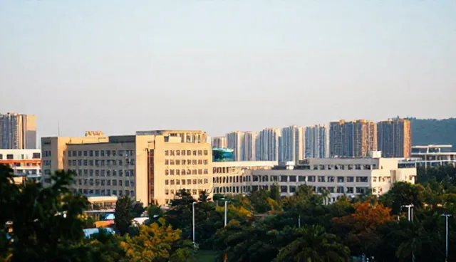 系统实施如何助力教育机构优化业务流程
